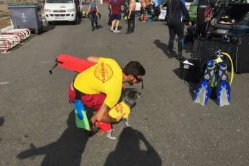 La limpieza de fondos marinos de La Garita 'rueda' con éxito (Foto TA)